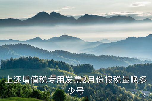 己開具專用票最遲什么時(shí)侯報(bào)稅，銷售貨物開具了發(fā)票什么時(shí)候報(bào)稅
