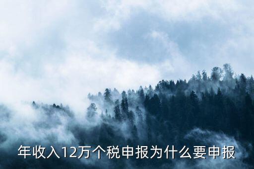 為什么12萬(wàn)要申報(bào)表，每個(gè)月都已繳納為什么年收入超過(guò)12萬(wàn)還需要再申報(bào)