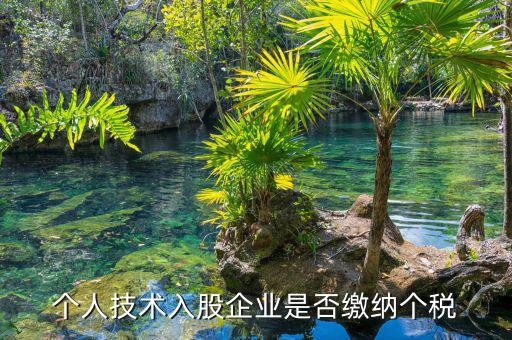 個人專利入股繳什么稅，請教稅法高手個人專利技術入股需繳稅嗎