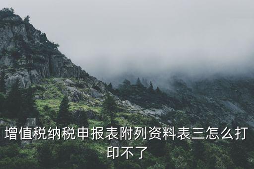 為什么打印不了附加稅申報表，納稅申報的報表打印不出來怎么辦