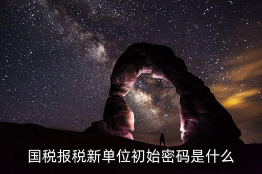 國稅申報登錄密碼是什么，抄報稅密碼應(yīng)該是什么啊