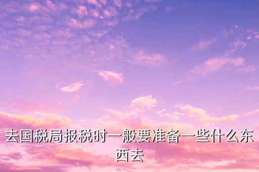 去國稅局申報(bào)需要帶什么，去地稅局和國稅局報(bào)稅需要帶哪些資料