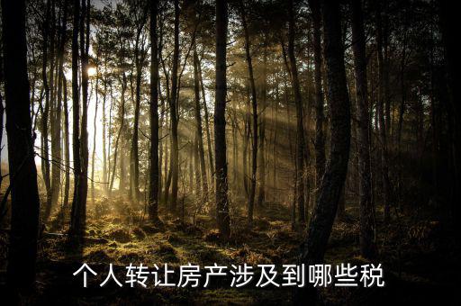 個人出售住房交什么稅，賣房子要交20的稅