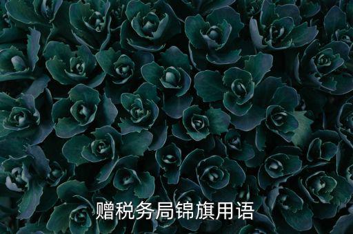 贈送稅務(wù)所錦旗寫什么，贈稅務(wù)局錦旗用語
