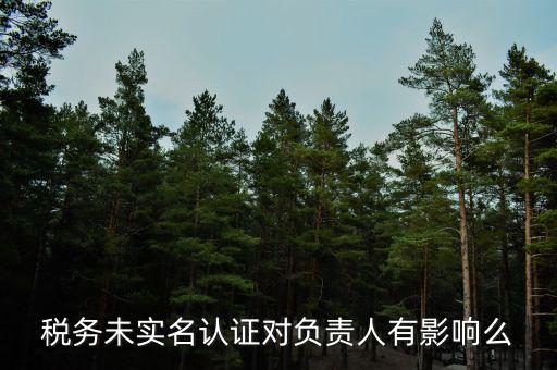 稅務(wù)實(shí)名制有什么風(fēng)險(xiǎn)，稅務(wù)未實(shí)名認(rèn)證對(duì)負(fù)責(zé)人有影響么