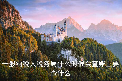 稅局什么時間搖號稽查，一般納稅人稅務局什么時候會查賬主要查什么
