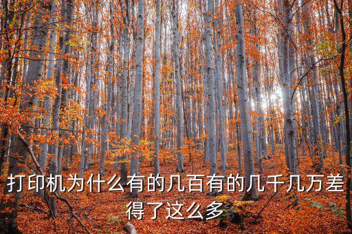 發(fā)票打印機為什么這么貴，為什么針式打印機還是那么貴