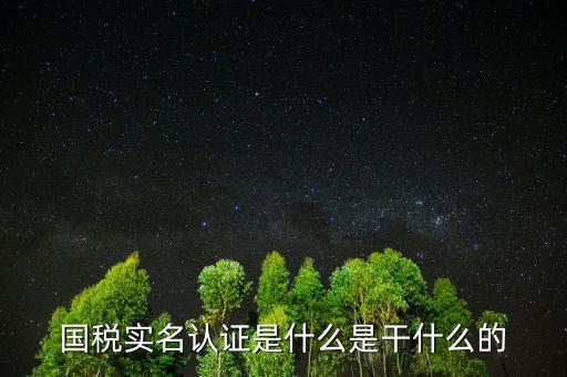 國(guó)稅實(shí)名制認(rèn)證要什么手續(xù)，國(guó)稅實(shí)名認(rèn)證是什么是干什么的