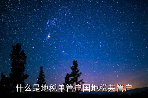 地稅分戶是指什么，地稅指的是什么意思
