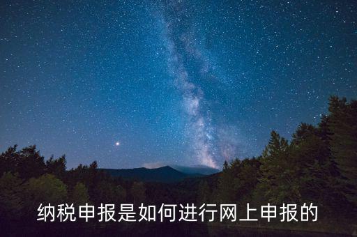 納稅人的網(wǎng)上申報(bào)屬于什么方式，網(wǎng)上申報(bào)屬于