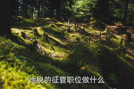 省地稅局是做什么的，地方稅務(wù)局
