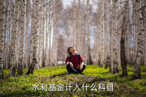 水利基金指什么，水利基金計入什么科目