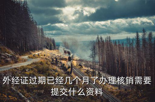外經(jīng)證繳銷需要什么資料，外經(jīng)證注銷需要帶哪些資料
