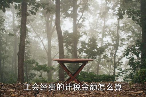 工會經(jīng)費(fèi)的應(yīng)稅項是什么，工會經(jīng)費(fèi)屬于稅嗎屬于支付的稅費(fèi)嗎