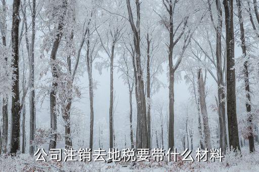 地稅注銷需要什么，注銷公司地稅局需要的資料