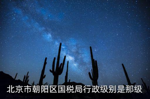 北京市朝陽區(qū)國稅局行政級(jí)別是那級(jí)