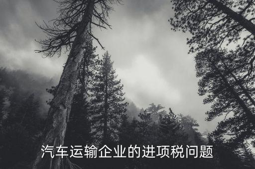 運(yùn)輸公司的進(jìn)項是什么，公路運(yùn)輸業(yè)進(jìn)項稅額含哪些