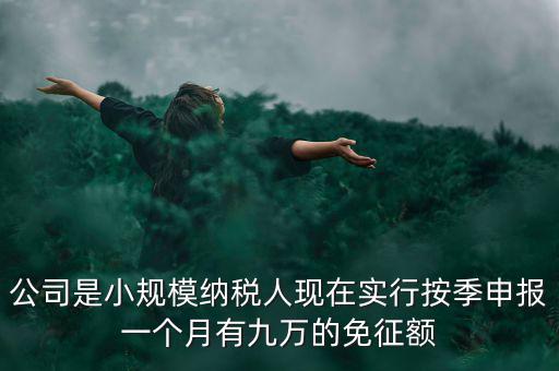 公司是小規(guī)模納稅人現(xiàn)在實行按季申報一個月有九萬的免征額