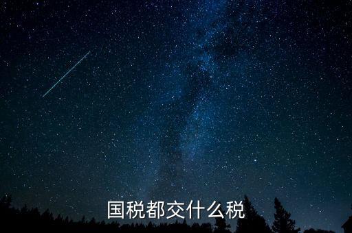國(guó)稅五項(xiàng)稅種都是什么，國(guó)稅包括哪些稅種