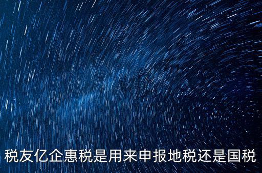 稅友報(bào)稅的是什么，稅友億企惠稅是用來申報(bào)地稅還是國稅