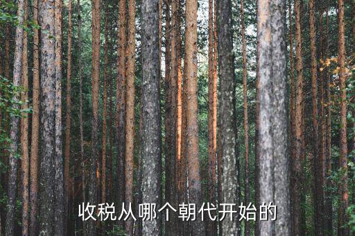 什么時(shí)候開始有稅收，稅是從什么時(shí)候開始的