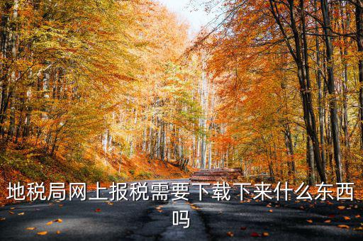 辦地稅都需要什么軟件，地稅網(wǎng)上申報軟件