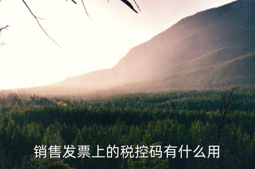 發(fā)票稅控碼是什么，國稅發(fā)票稅控碼