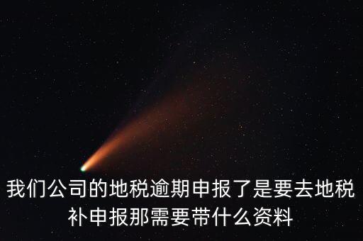 逾期申報需要帶什么資料，我們公司的地稅逾期申報了是要去地稅補申報那需要帶什么資料