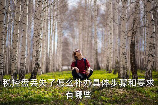 稅控盤丟失為什么要報案嗎，稅控盤丟失怎么處理