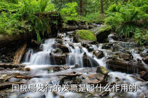 國家稅務(wù)局發(fā)票有什么用，發(fā)票有哪些作用呢