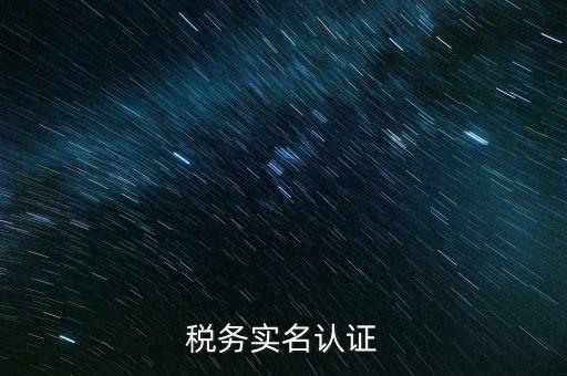 稅務(wù)實(shí)名登記需要什么，稅務(wù)實(shí)名認(rèn)證