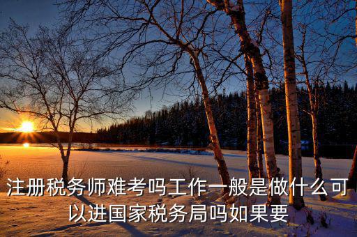 稅務(wù)師是什么，注冊(cè)稅務(wù)師能干什么待遇怎么樣