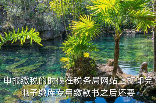 申報(bào)繳稅的時候在稅務(wù)局網(wǎng)站上打印完電子繳庫專用繳款書之后還要