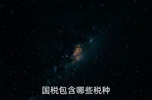 國稅發(fā)票有什么項目，國稅通用手工發(fā)票可以開什么項目經(jīng)營范圍是道路普通貨物運輸