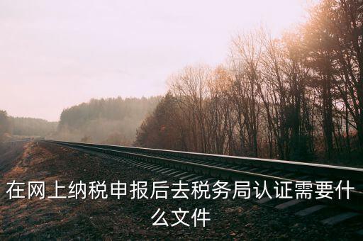 在網(wǎng)上納稅申報后去稅務局認證需要什么文件