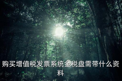 購買金稅盤要什么資料，購買增值稅發(fā)票系統(tǒng)金稅盤需帶什么資料