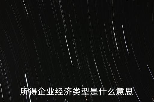 所得項目是什么意思，所得企業(yè)經(jīng)濟(jì)類型是什么意思