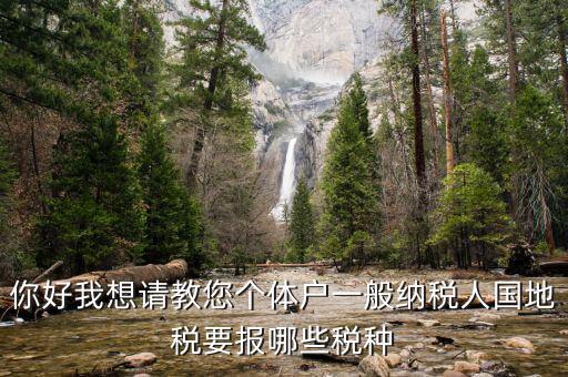 一般納稅人地稅交什么稅，地稅應(yīng)交哪些稅