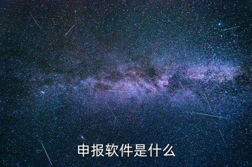 國(guó)稅申報(bào)軟件叫什么，申報(bào)軟件是什么