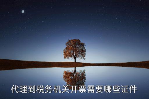 國稅代理開票需要什么，代開普通國稅發(fā)票要什么資料