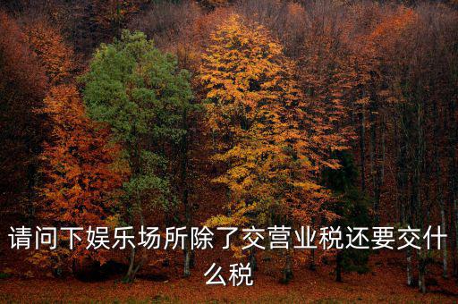 娛樂業(yè)交什么稅，請問下娛樂場所除了交營業(yè)稅還要交什么稅
