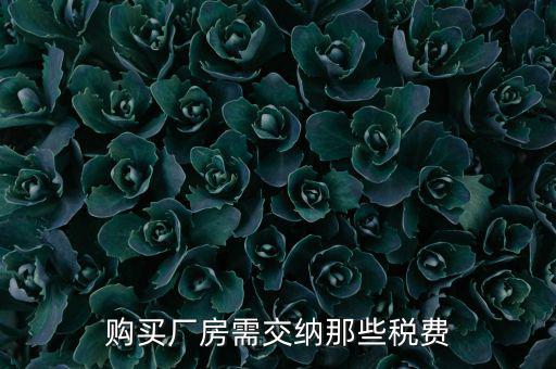 個(gè)人買廠房交什么稅，請(qǐng)問(wèn)在重慶購(gòu)買一手廠房需要交納那些稅費(fèi)具體稅率是多少注