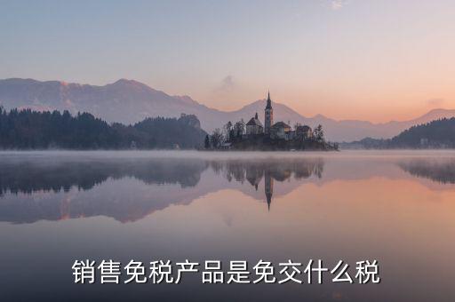 銷售免稅產品是免交什么稅