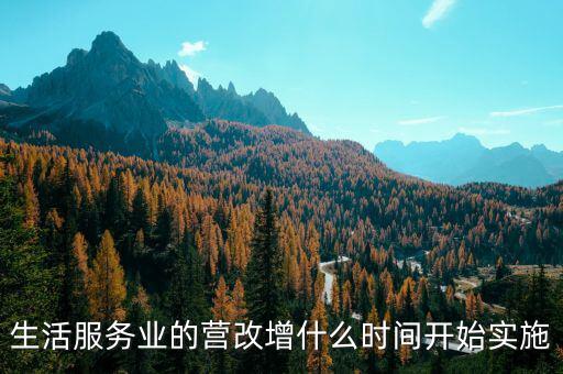 生活服務(wù)業(yè)的營改增什么時間開始實(shí)施