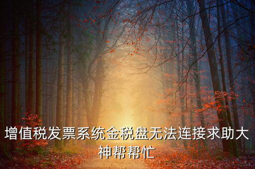 為什么金稅盤連接不上，金稅盤直接進不去怎么回事啊