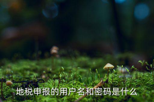 杭州地稅用戶名是什么意思，地稅的用戶名是什么