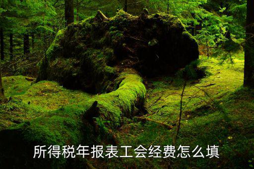 工會經(jīng)費(fèi)填什么稅種，工會經(jīng)費(fèi)屬于地稅里面的什么稅種在那里申報呀