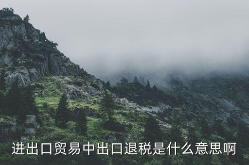 什么是增值稅出口退稅，出口退稅指的是什么
