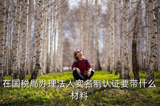 實名認證稅務需要什么資料，在國稅局辦理法人實名制認證要帶什么材料