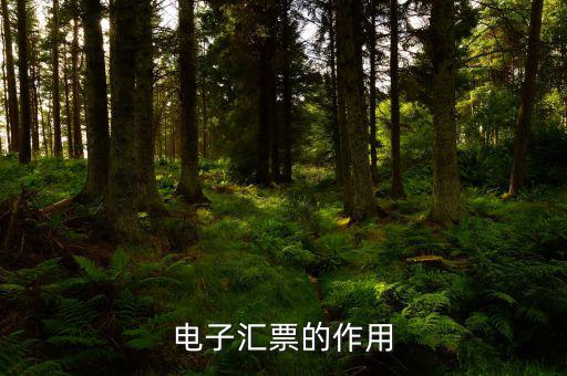 電子發(fā)票作用是什么，電子發(fā)票系統(tǒng)能做什么用